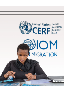 État de la migration dans le monde 2022 : Chapitre 4 – Recherches et analyses sur la migration : Contributions récentes des Nations Unies