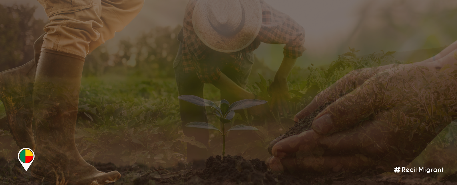 Le centre du Bénin, un vivier de main-d’œuvre agricole au carrefour des échanges
