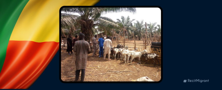 Un dépôt de bétail défie les barrières communautaires au Bénin