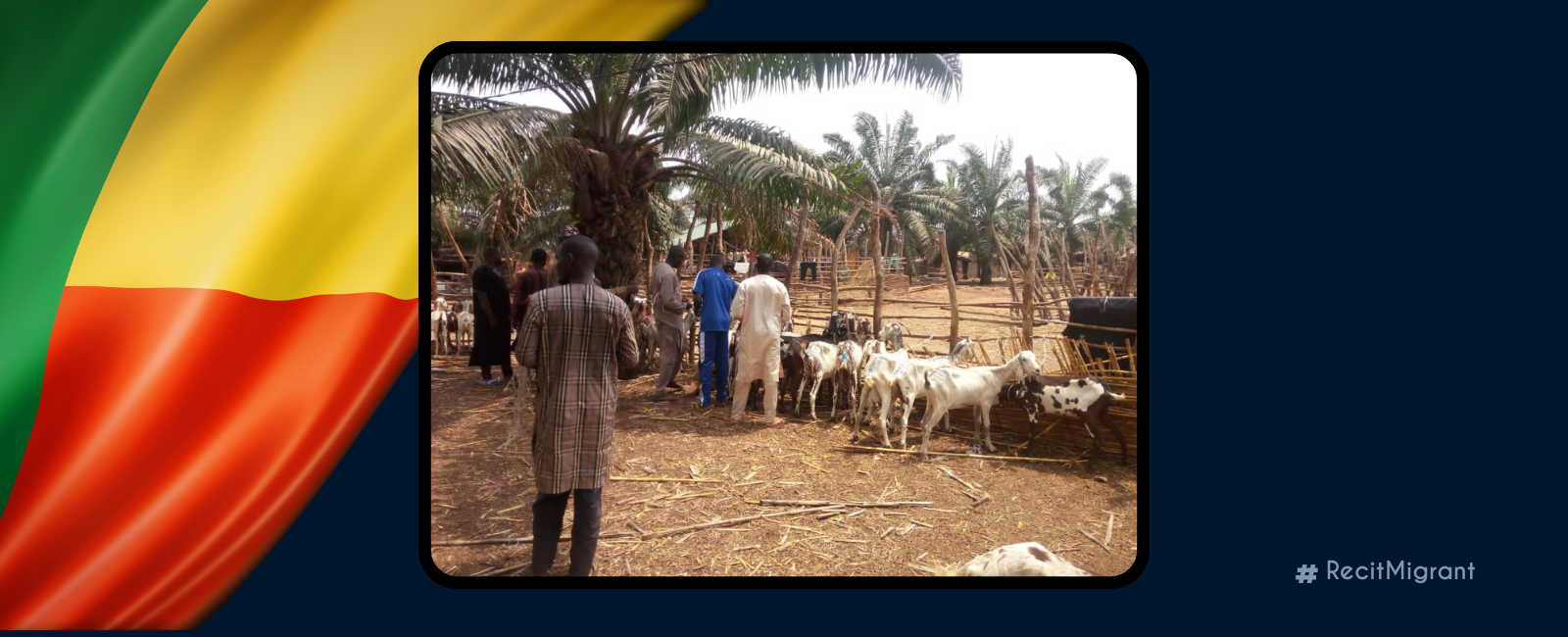 Un dépôt de bétail défie les barrières communautaires au Bénin