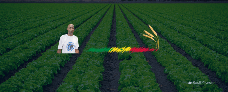 PROFILE : Pape Ndiaye, Senegalese returnee dedicated to advancing agriculture