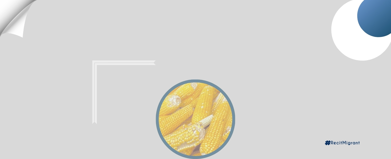 Le maïs béninois conquiert Niamey : l’aventure commerciale de Dotche Espoir