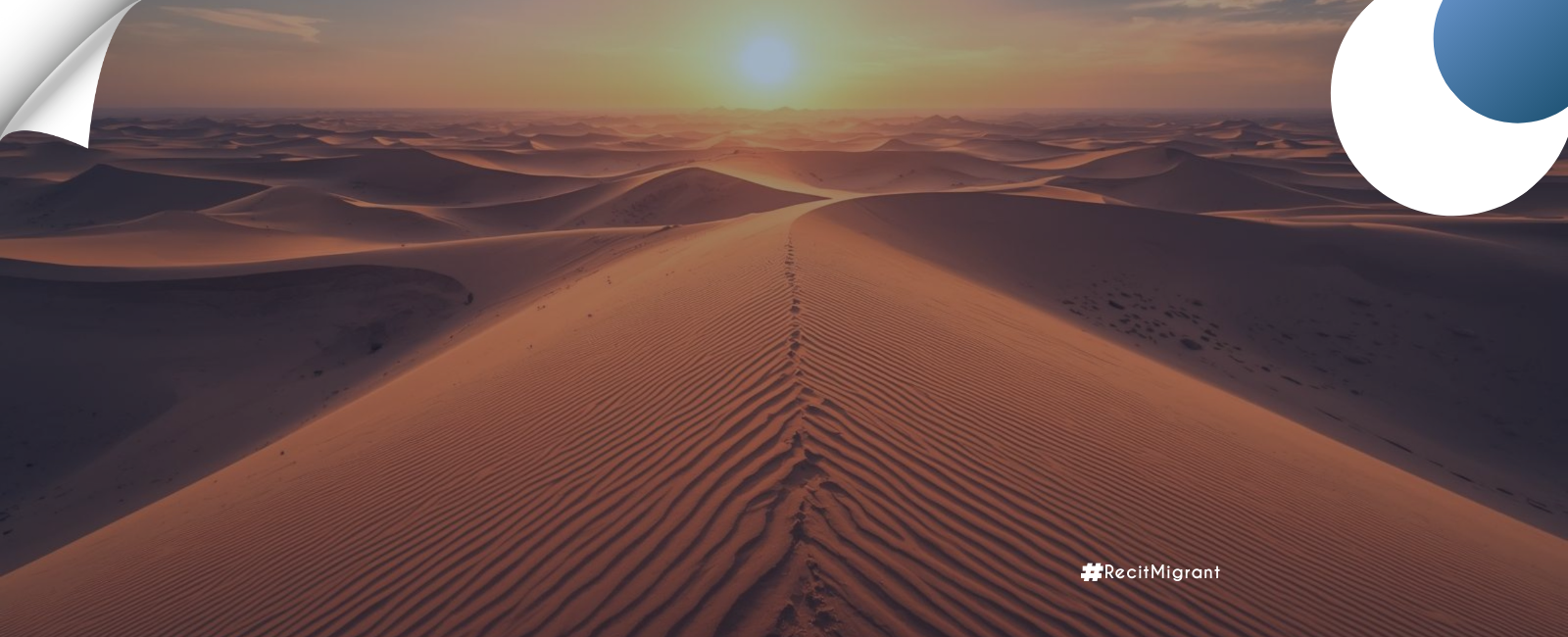 Assamaka, le terminus du désert : 34 000 destins brisés en 2025