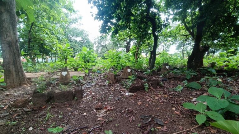 Sous les grands arbres de Batié, la mémoire oubliée des tirailleurs !
